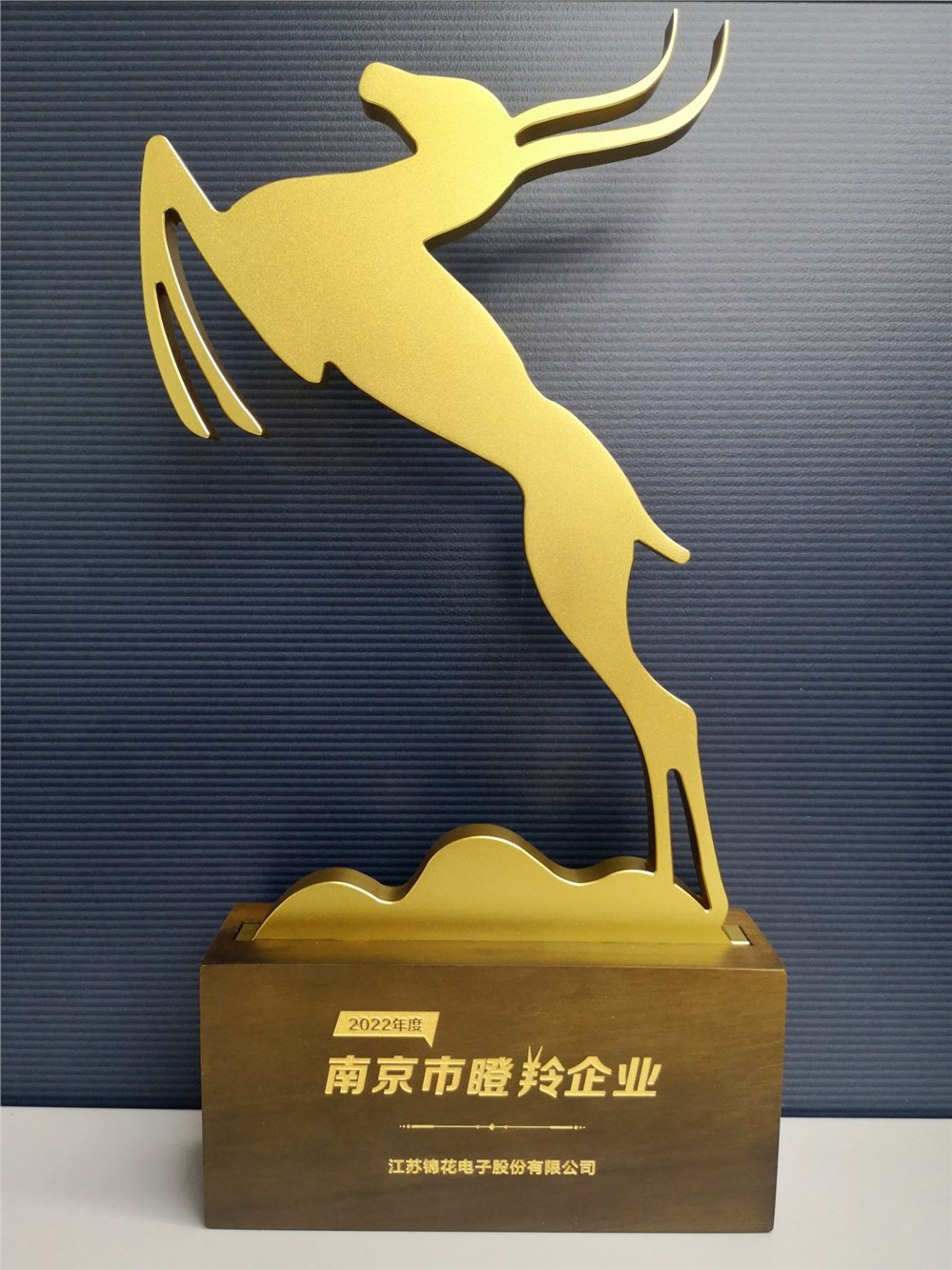 热烈庆祝我司2022年度被评为“瞪羚企业”